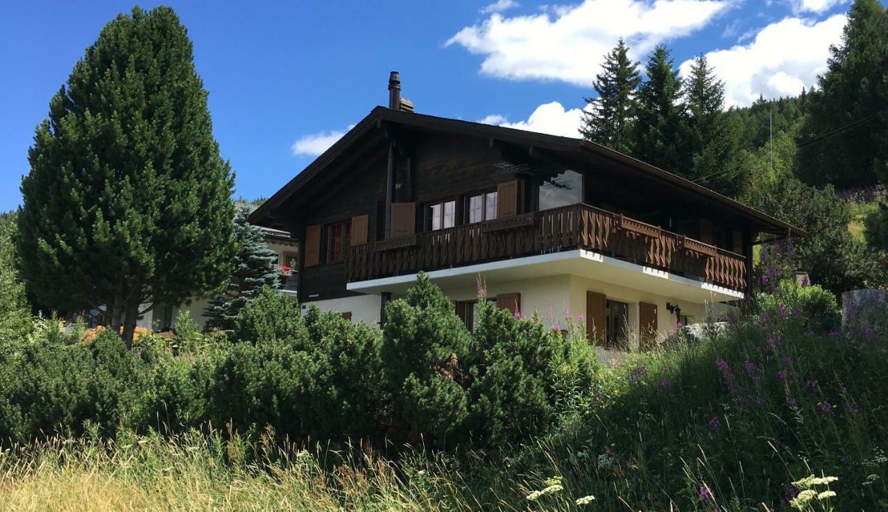 Bürchen Ferienwohnung Im Chalet Firn - Og מראה חיצוני תמונה