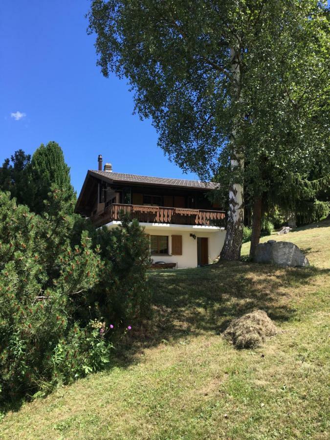 Bürchen Ferienwohnung Im Chalet Firn - Og מראה חיצוני תמונה